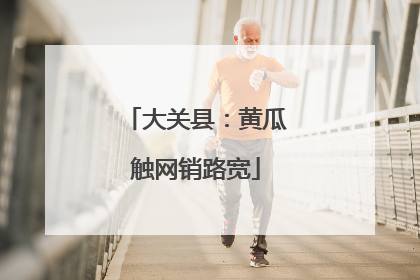 大关县：黄瓜触网销路宽