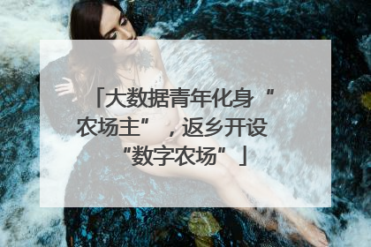 大数据青年化身“农场主”，返乡开设“数字农场”