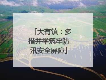 大有镇：多措并举筑牢防汛安全屏障