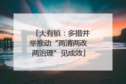 大有镇：多措并举推动“两清两改两治理”见成效