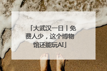 大武汉一日丨免费人少，这个博物馆还能玩AI
