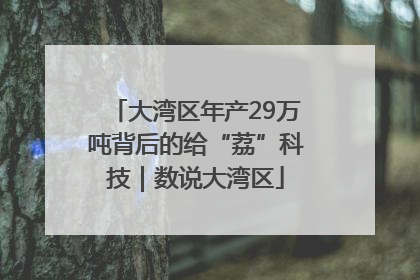 大湾区年产29万吨背后的给“荔”科技｜数说大湾区