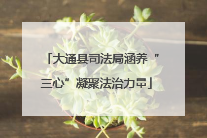 大通县司法局涵养“三心”凝聚法治力量