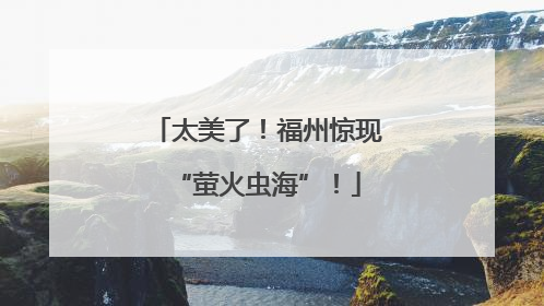太美了！福州惊现“萤火虫海”！