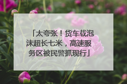 太夸张！货车载泡沫超长七米，高速服务区被民警抓现行