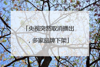 央视突然取消播出，多家品牌下架
