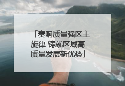 奏响质量强区主旋律 铸就区域高质量发展新优势