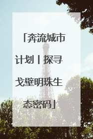 奔流城市计划丨探寻戈壁明珠生态密码