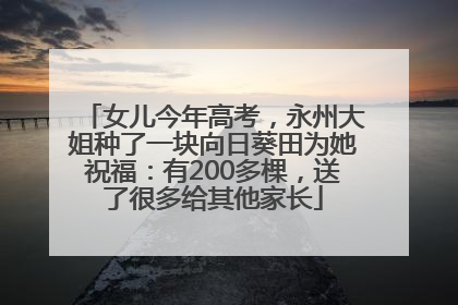 女儿今年高考，永州大姐种了一块向日葵田为她祝福：有200多棵，送了很多给其他家长