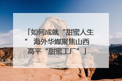 如何成就“甜蜜人生” 海外华媒聚焦山西高平“甜蜜工厂”