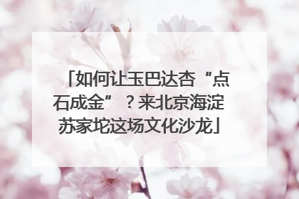 如何让玉巴达杏“点石成金”？来北京海淀苏家坨这场文化沙龙
