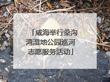 威海举行桑沟湾湿地公园巡河志愿服务活动