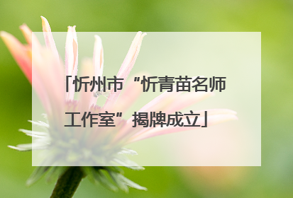 忻州市“忻青苗名师工作室”揭牌成立