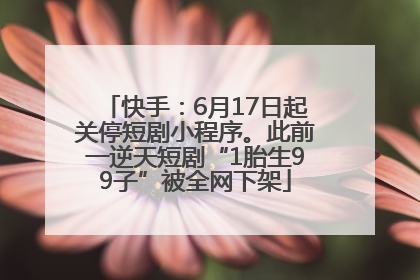 快手：6月17日起关停短剧小程序。此前一逆天短剧“1胎生99子”被全网下架