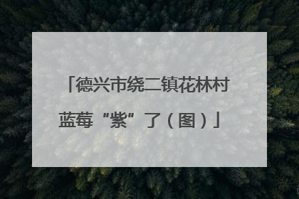 德兴市绕二镇花林村蓝莓“紫”了（图）