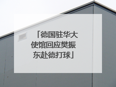 德国驻华大使馆回应樊振东赴德打球