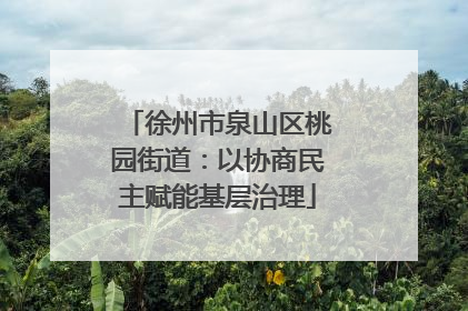 徐州市泉山区桃园街道：以协商民主赋能基层治理