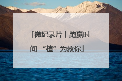 微纪录片丨跑赢时间 “植”为救你
