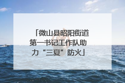 微山县昭阳街道第一书记工作队助力“三夏”防火