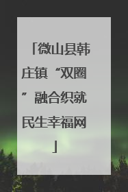 微山县韩庄镇“双圈”融合织就民生幸福网
