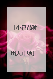 小番茄种出大市场