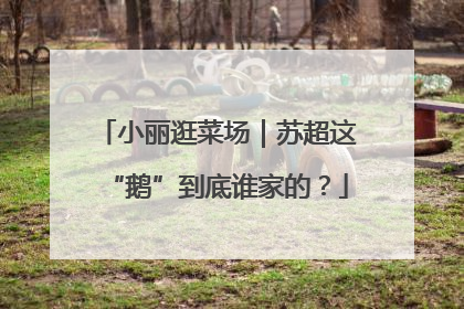小丽逛菜场｜苏超这“鹅”到底谁家的？