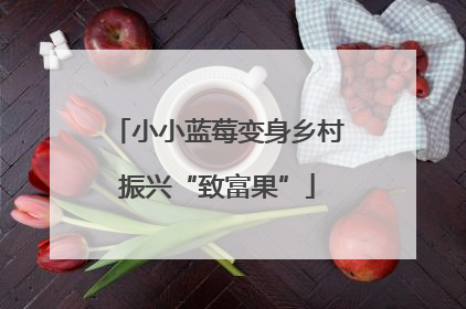小小蓝莓变身乡村振兴“致富果”