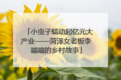 小虫子蠕动起亿元大产业——菏泽女老板李端端的乡村故事