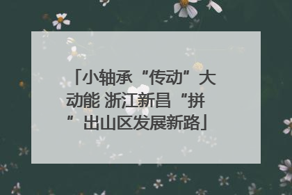 小轴承“传动”大动能 浙江新昌“拼”出山区发展新路