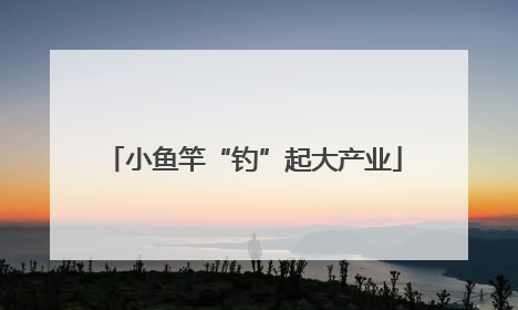 小鱼竿“钓”起大产业