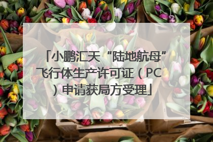 小鹏汇天“陆地航母”飞行体生产许可证（PC）申请获局方受理