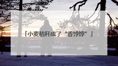 小麦秸秆成了“香饽饽”