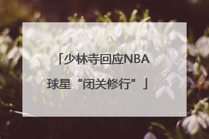 少林寺回应NBA球星“闭关修行”
