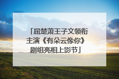 屈楚萧王子文领衔主演《有朵云像你》剧组亮相上影节