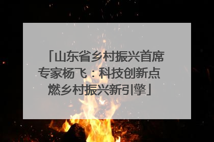 山东省乡村振兴首席专家杨飞：科技创新点燃乡村振兴新引擎