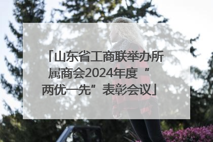 山东省工商联举办所属商会2024年度“两优一先”表彰会议