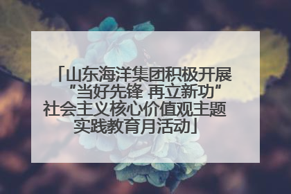 山东海洋集团积极开展“当好先锋 再立新功”社会主义核心价值观主题实践教育月活动