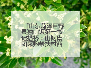 山东菏泽巨野县独山镇第一书记搭桥：山钢集团采购帮扶村西瓜助农增收