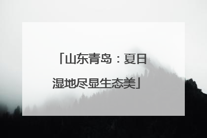 山东青岛：夏日湿地尽显生态美