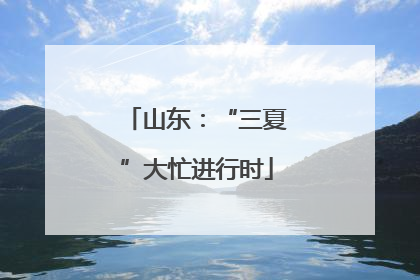 山东：“三夏”大忙进行时