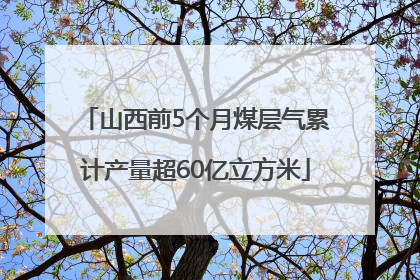 山西前5个月煤层气累计产量超60亿立方米