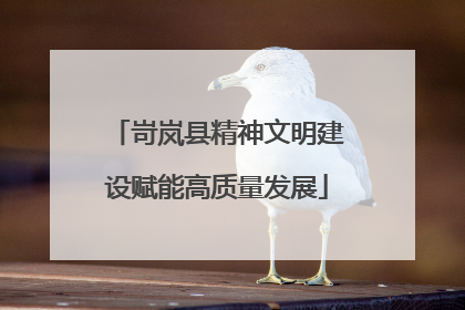岢岚县精神文明建设赋能高质量发展