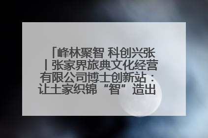 峰林聚智 科创兴张丨张家界旅典文化经营有限公司博士创新站：让土家织锦“智”造出非遗新传奇