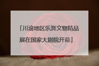 川渝地区乐舞文物精品展在国家大剧院开幕