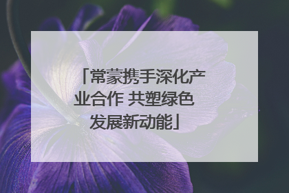 常蒙携手深化产业合作 共塑绿色发展新动能