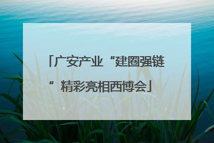 广安产业“建圈强链”精彩亮相西博会