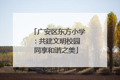 广安区东方小学：共建文明校园 同享和谐之美