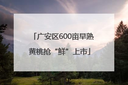 广安区600亩早熟黄桃抢“鲜”上市