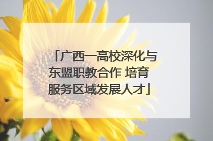广西一高校深化与东盟职教合作 培育服务区域发展人才