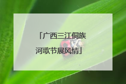 广西三江侗族河歌节展风情